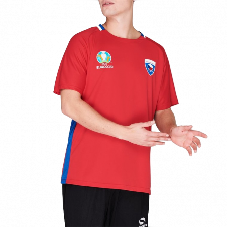 Euro 2020 Polyester Maillot