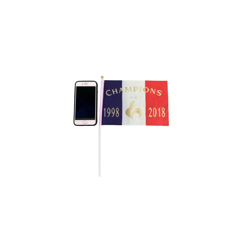 Mini Drapeau Champion 98-2018