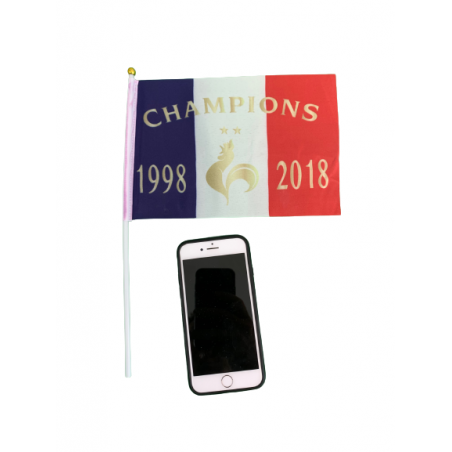Mini Drapeau Champion 98-2018