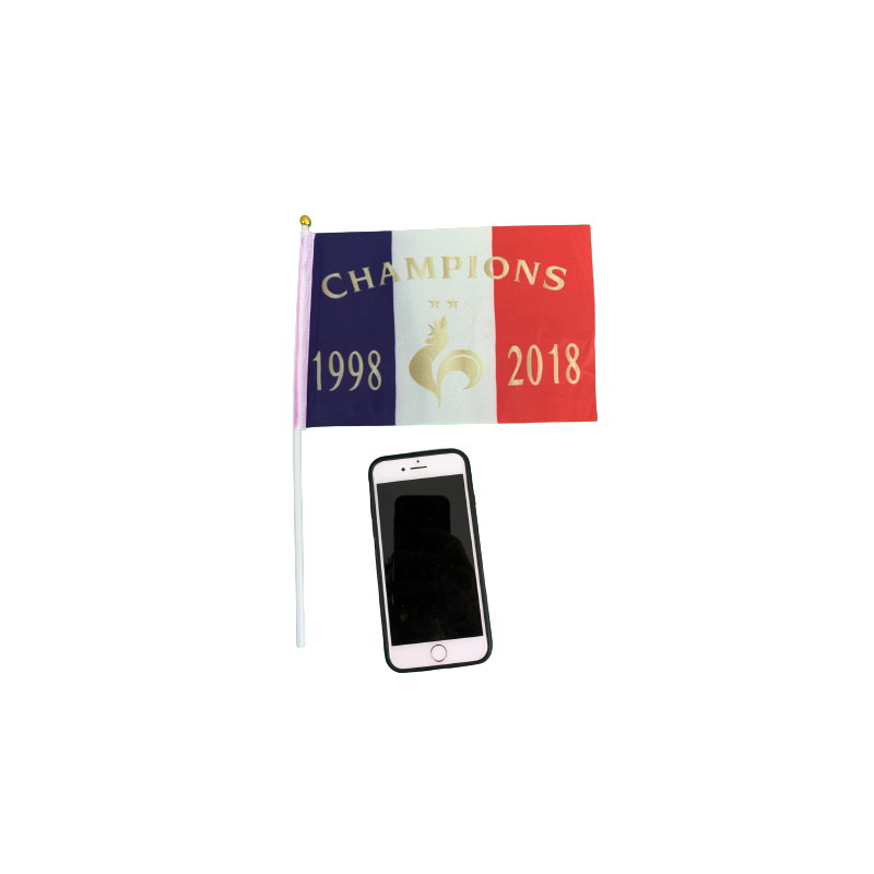 Mini Drapeau Champion 98-2018