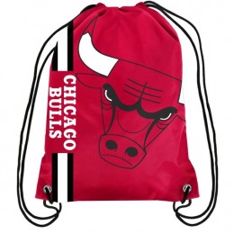 NBA sac RED BULLS chicago