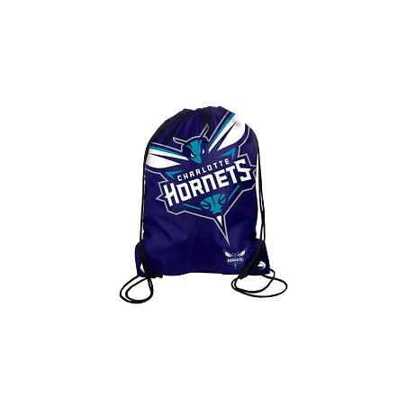 NBA sac CHARLOTTE HORNETS
