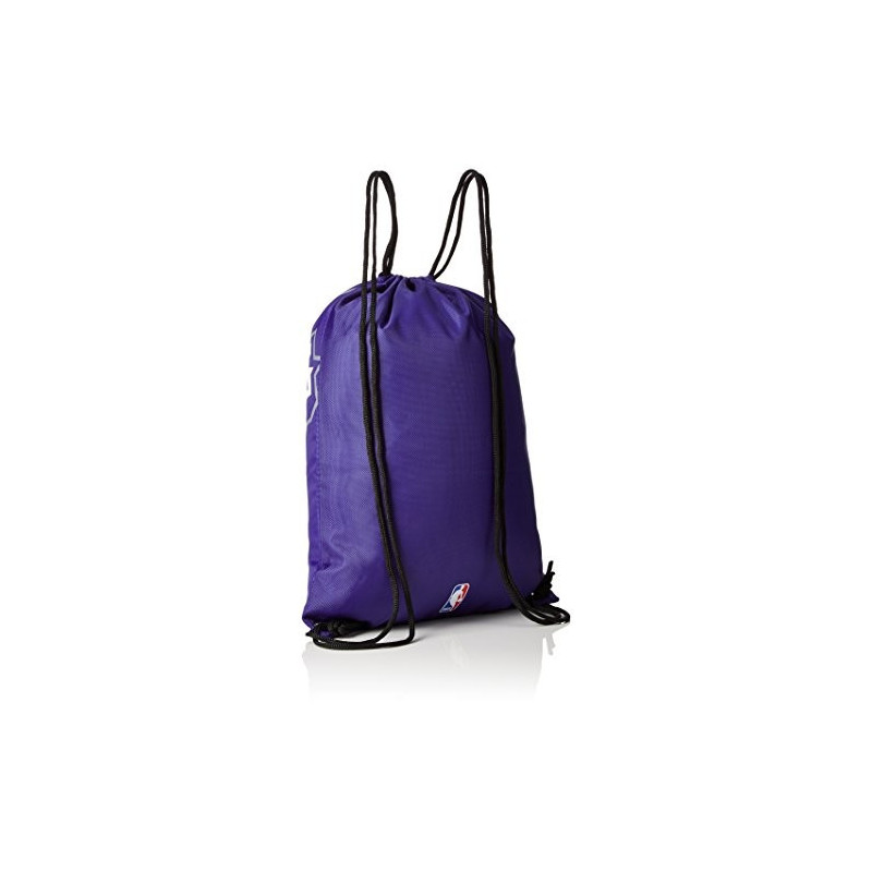 NBA sac CHARLOTTE HORNETS