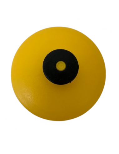 Gourde transparente plastique  500 ml bouchon jaune