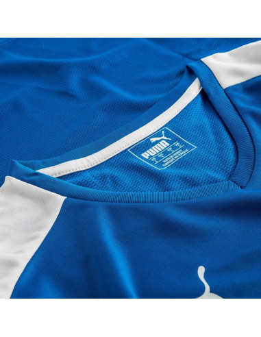 PUMA Pitch Men SS Jersey 702070-02 XS