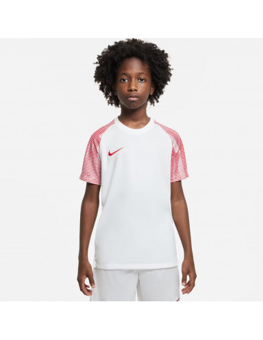 Nike Dri-FIT Academy T-SHIRT DH8369-100