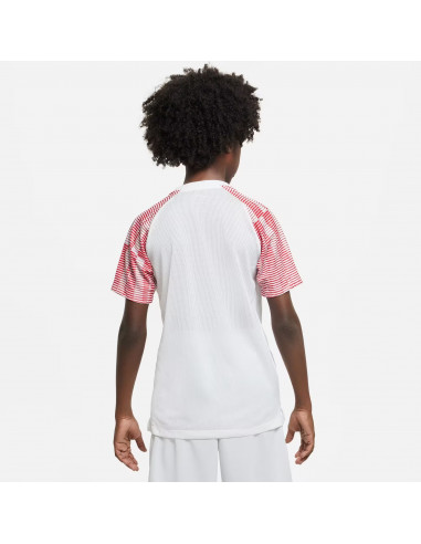 Nike Dri-FIT Academy T-SHIRT DH8369-100
