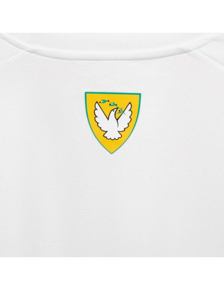 AEK Athens 2015-16 Away Kit