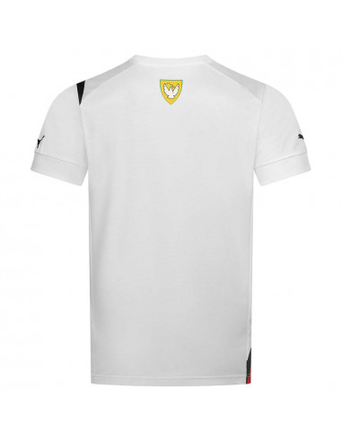 AEK Athens 2015-16 Away Kit