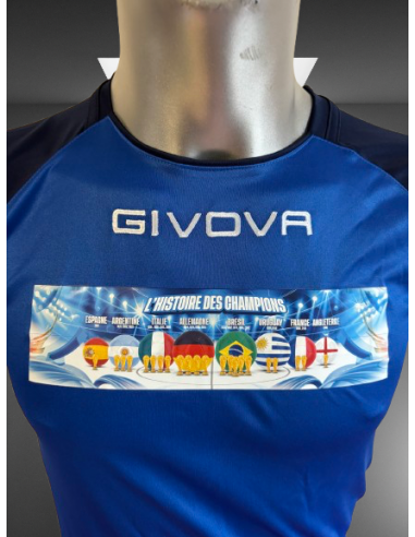 l'Histoire des CHAMPIONS