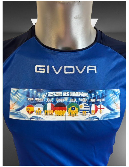 l'Histoire des CHAMPIONS