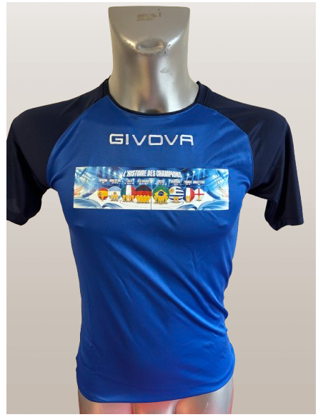 l'Histoire des CHAMPIONS