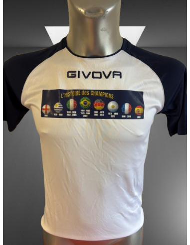 l'Histoire des CHAMPIONS