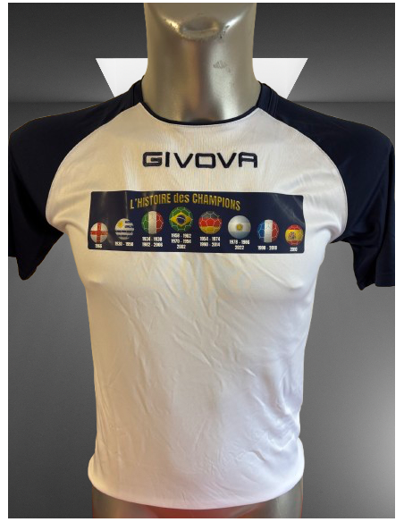 l'Histoire des CHAMPIONS