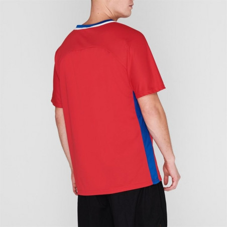 Euro 2020 Wales T Shirt Polyester