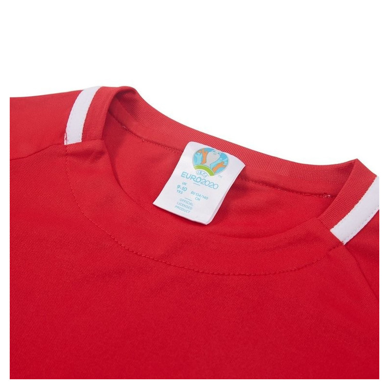 Euro 2020 Wales T Shirt Polyester