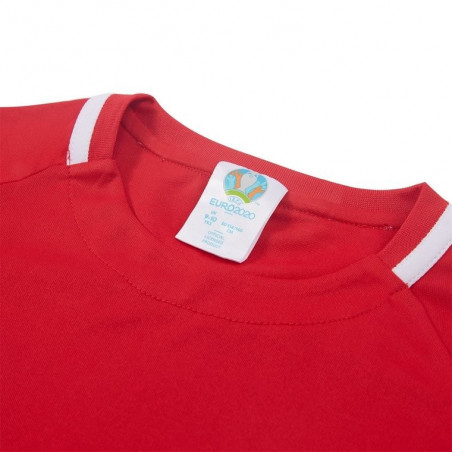 Euro 2020 Wales T Shirt Polyester