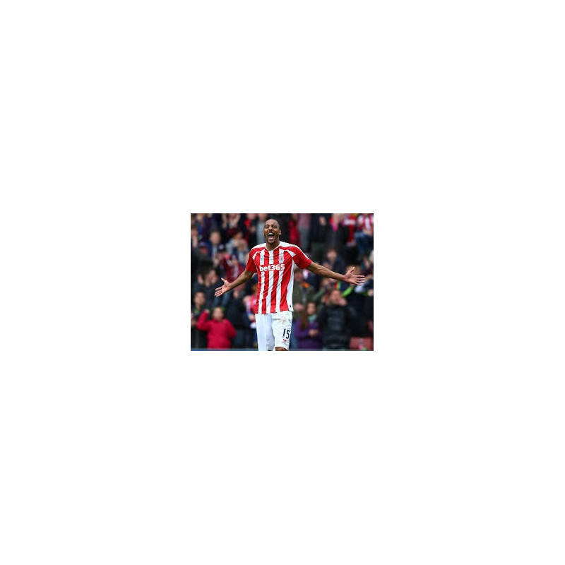 2014-15 Stoke City Home Shirt