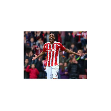 2014-15 Stoke City Home Shirt